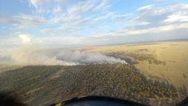 Лесной пожар в Абайской области