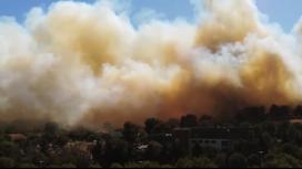 Лесные пожары вспыхнули во Франции