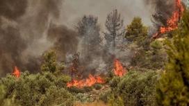 Лесной пожар в Греции