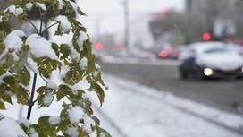 Снег выпал в Алматы