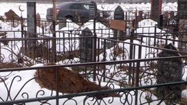 Кладбище в Шымкенте
