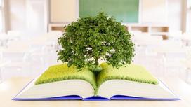 Дерево растет из книги