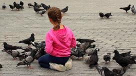 Девочка кормит голубей