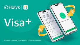 Visa+