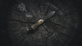 Складной нож лежит на срубе дерева