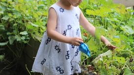 Девочка поливает лейкой в огороде