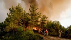 Пожарные тушат горящие леса в Турции