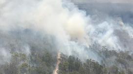 Остров Фрейзер в Австралии охвачен пожарами