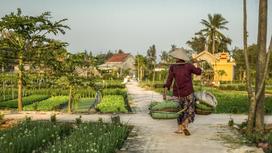 Фермер во Вьетнаме