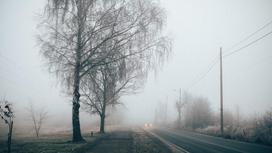 Туман на дороге