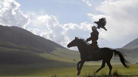 кочевник в поле на коне
