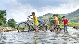 Дети переходят реку с велосипедами