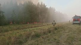 Пожарные в горящем лесу