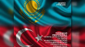 Флаги Казахстана и Турции