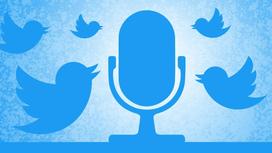 Микрофон и птички Twitter
