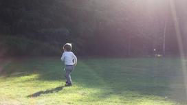 маленький мальчик бежит по траве