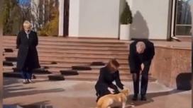 Президенты Молдовы и Австрии с собакой