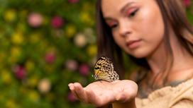 Девушка разглядывает бабочку