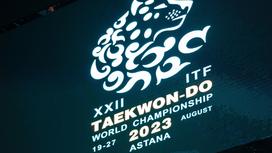 Чемпионат мира по тхэквондо