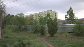 Деревья на улице Нокина