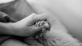 Детская рука в руке матери