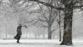 Человек стоит под зонтом на фоне деревьев во время шторма