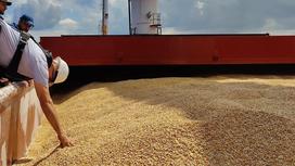 Совместная инспекционная группа проводит инспекцию зерна из Украины