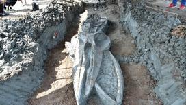 Скелет древнего кита