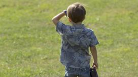 Мальчик смотрит вдаль на зеленом лугу