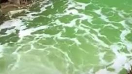 Зеленая вода в реке в ВКО