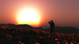 Восходящее солнце над полем цветущих маков. На поле стоит солдат и отдает честь
