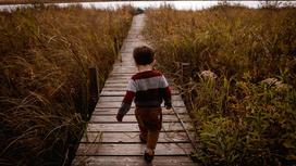 Ребенок идет по мосту к водоему