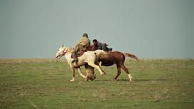 Двое всадников скачут на лошадях