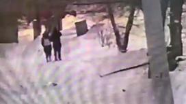 Кадр из видео, где мужчина нападает на девушку