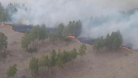 Пожар в сосновом бору в Павлодарской области