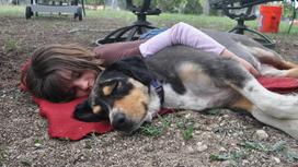 Девушка во сне обнимает собаку