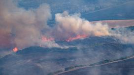 Пожары в южном регионе Апулия