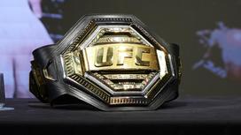 Чемпионский пояс UFC