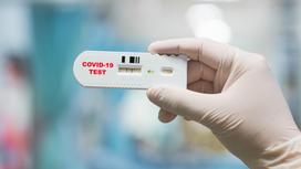 Медик держит в руке тест на COVID-19