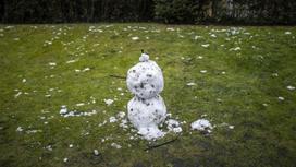 Снеговик стоит посреди зеленого поля