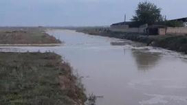 Наводнение в Туркестанской области