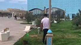 "Покраска" травы в Туркестане