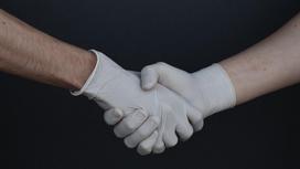 Два человека в перчатках пожимают руки