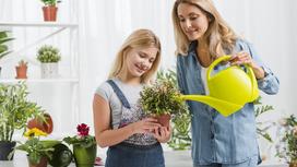 Девочка держит в руках цветущее комнатное растение. Женщина-блондинка поливает цветок из желтой лейки