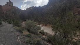 Грязе-селевой поток на Чарынском каньоне