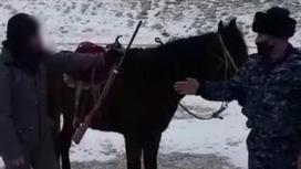 Инспектор полиции и предполагаемый нарушитель стоят у лошади