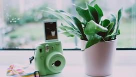 Фотокамера, фото и вазон с растением