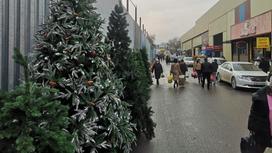 Новогодние елки на  барахолке Алматы