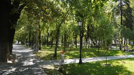 Дорожки и деревья в парке
