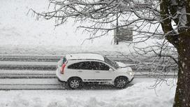 машина стоит под деревом на снегу